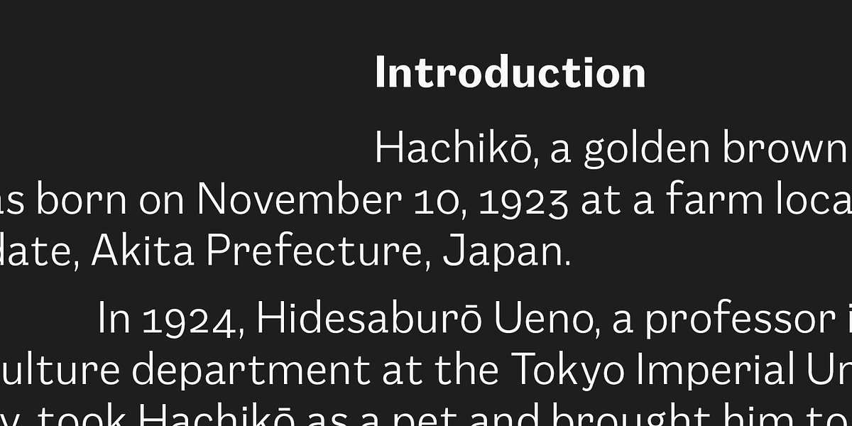 Mushin, a Sans Serif Font by Satori (Photo 14 of 15)