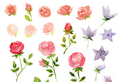 Watercolor roses, wedding, an Illustration by swiejko (Thumbnail 2 of 2)
