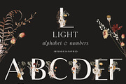 Wildflowers watercolor floral botany, a Decorative Illustration by Grace Noboa Illustrations (Thumbnail 6 of 17)
