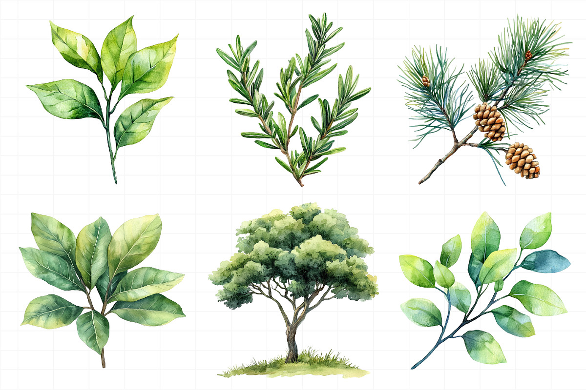 Green Trees and Leaves Clipart, an Illustration by Daily.Designs (Photo 3 of 8)