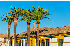 Palm trees and typical houses in Cordoba, Spain, an Architecture Photo by Leonid Andronov