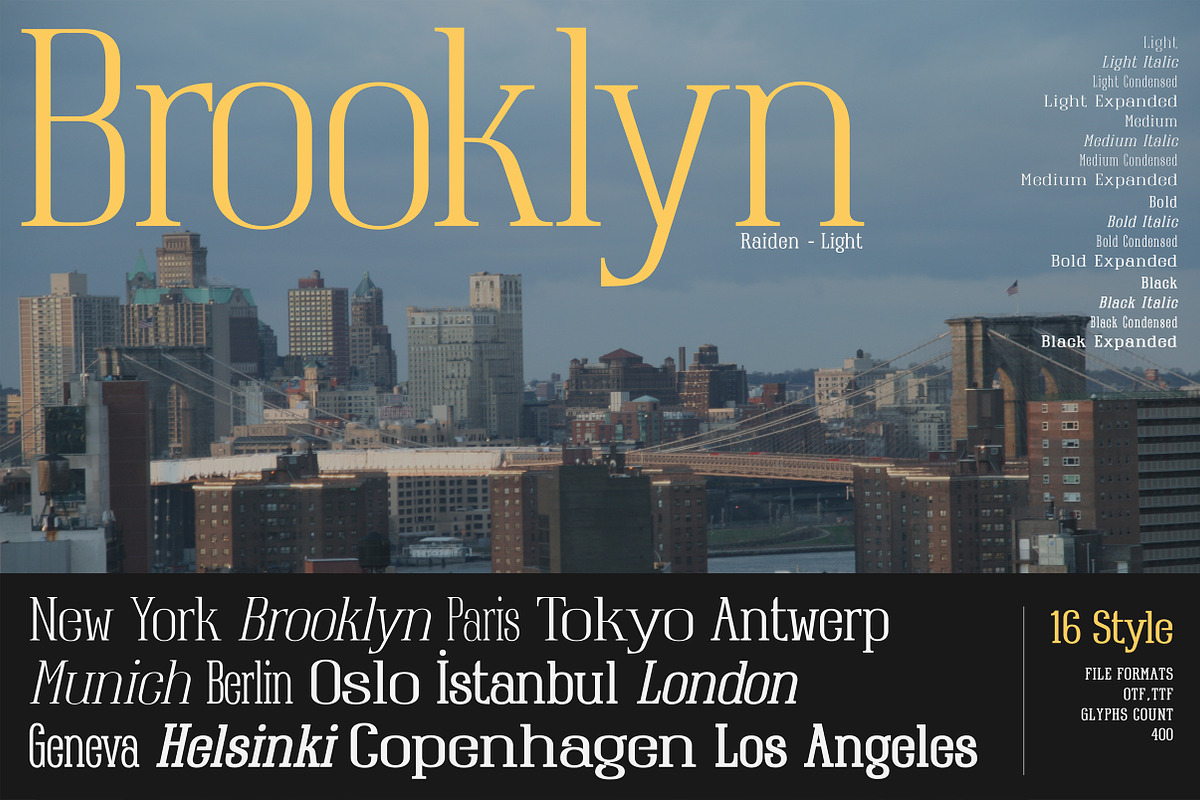Raiden - Serif font family, a Serif Font by Artistic & Unique (Photo 11 of 13)