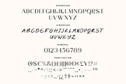 Glemor Typeface, a Serif Font by Prioritype Co (Thumbnail 9 of 10)