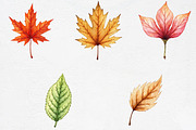 Watercolor Autumn Leaves Clipart, an Illustration by CrexoraLab (Thumbnail 4 of 5)