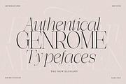 Effidhem Mevagen | 18 Font Files, a Serif Font by IM Studio (Thumbnail 4 of 14)