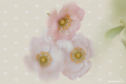 FLORA.PNG | Blurry Flower Collage, an Object Graphic by ana & yvy (Thumbnail 12 of 23)