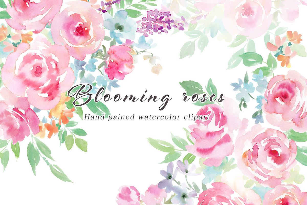 Blooming roses watercolor clipart, a Decorative Illustration by Sawango Designs (Photo 1 of 4)