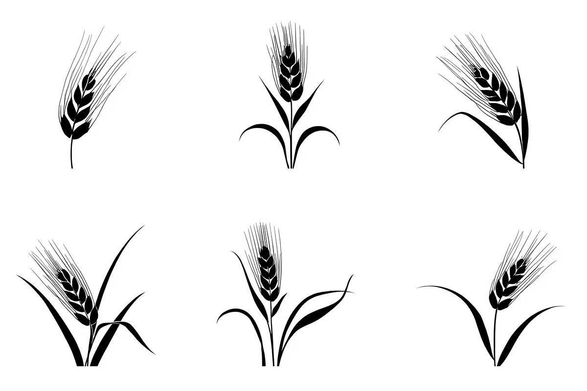 Grass & Wheat Files, an Illustration by jahid234 (Photo 8 of 9)