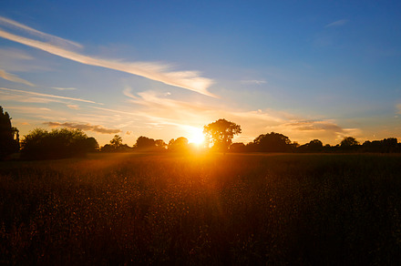 Sunshine featuring sun, flare, and lens flare preview 6