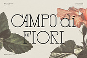 Marjolaine Type - A delicate Serif, a Serif Font by CarmineType (Thumbnail 4 of 24)