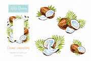 Coconut. Watercolor., a Decorative Illustration by Ekaterina Mikheeva (Thumbnail 3 of 5)