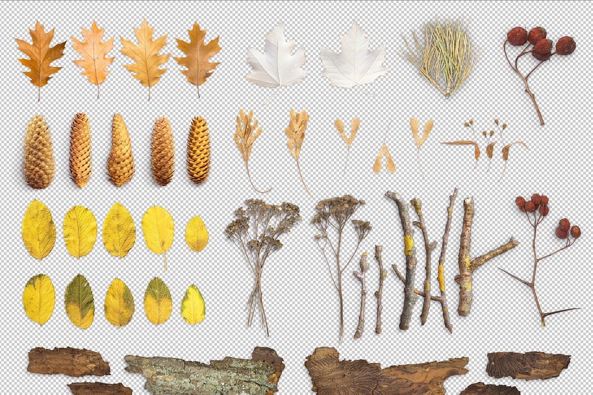 Autumn Floral Mockup, an Object Graphic by uncle-rico (Photo 1 of 12)