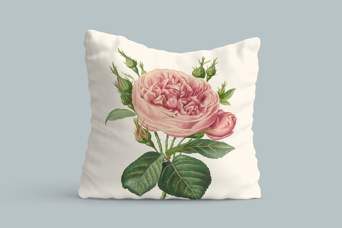 Vintage Illustrations of Flowers, an Illustration by Graphic Goods (Photo 4 of 9)