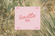 Peachy Weekend Handwritten Font, a Handwritten Font by supfonts (Thumbnail 7 of 9)
