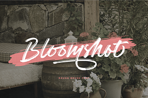 Bloomshot - Rough Brush Font