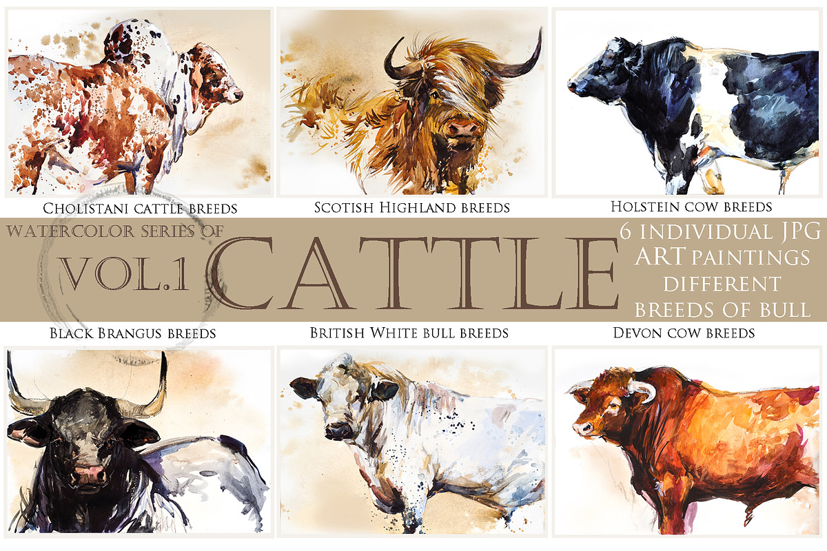 Cattle & Bulls Megabundle: 28 Breeds, an Animal Illustration by FineArt (Photo 4 of 16)