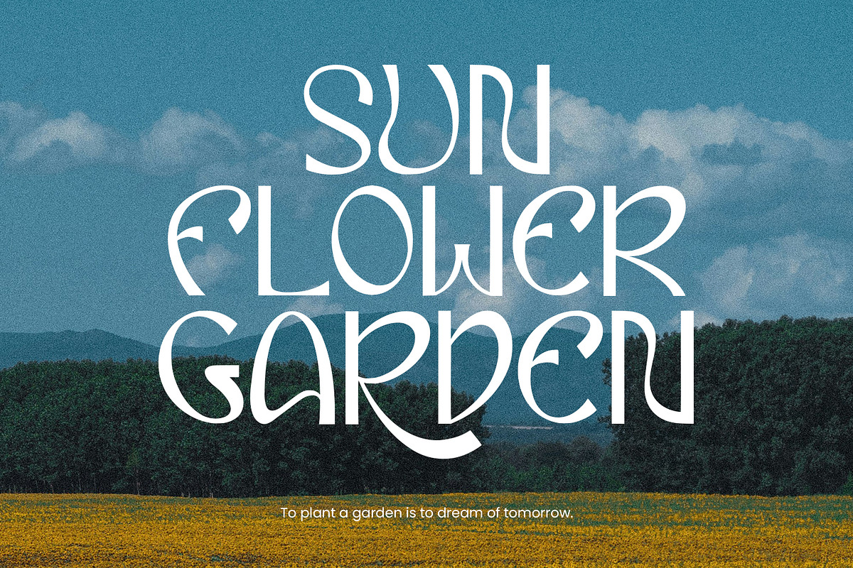 Eiclare Decorative Display Font, a Handwritten Font by Maulana Creative (Photo 7 of 7)