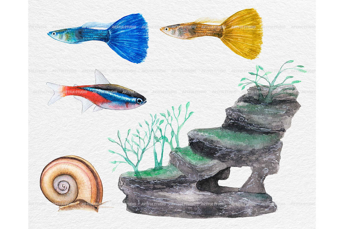 Watercolor tropical fish clipart, an Animal Illustration by ArtfulStudio (Photo 5 of 8)