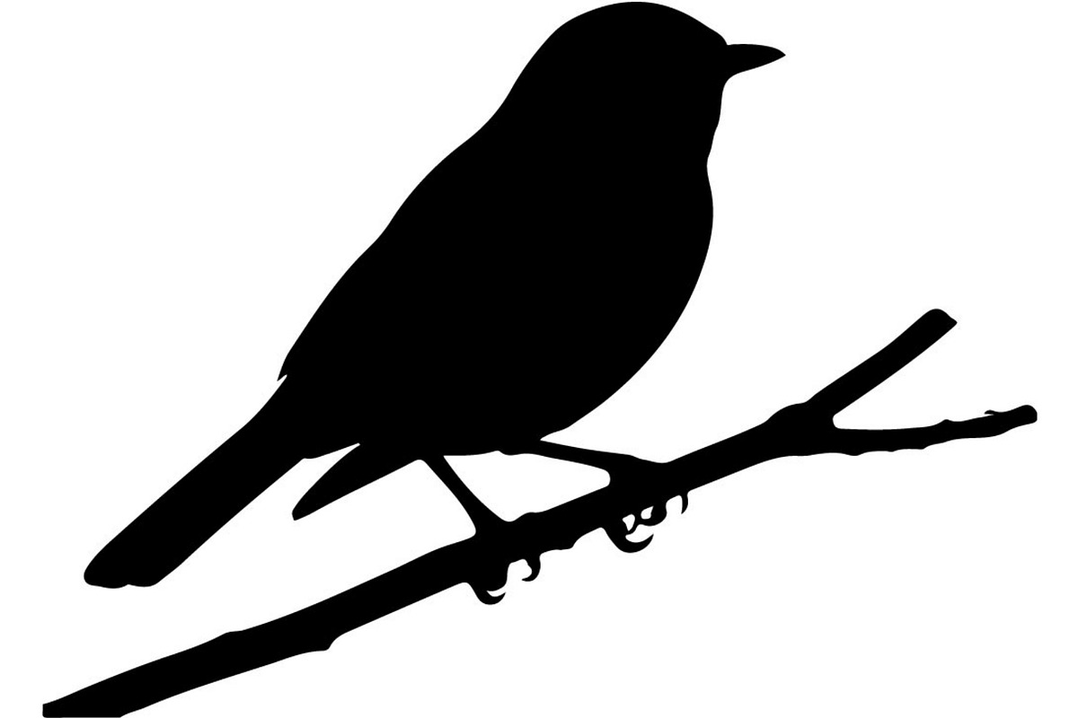 Bird Silhouettes Flying Sideways, an Animal Illustration by Designer_Momina (Photo 14 of 21)