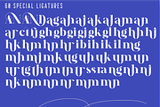 ANDREW ELEGANT Font, a Serif Font by 177Studio (Thumbnail 7 of 7)