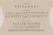 Quilezy Modern Serif Font, a Serif Font by Storytype Studio (Thumbnail 14 of 15)