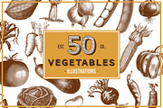 Vegetables Vintage Illustrations, an Illustration by hypegraphic (Thumbnail 1 of 4)
