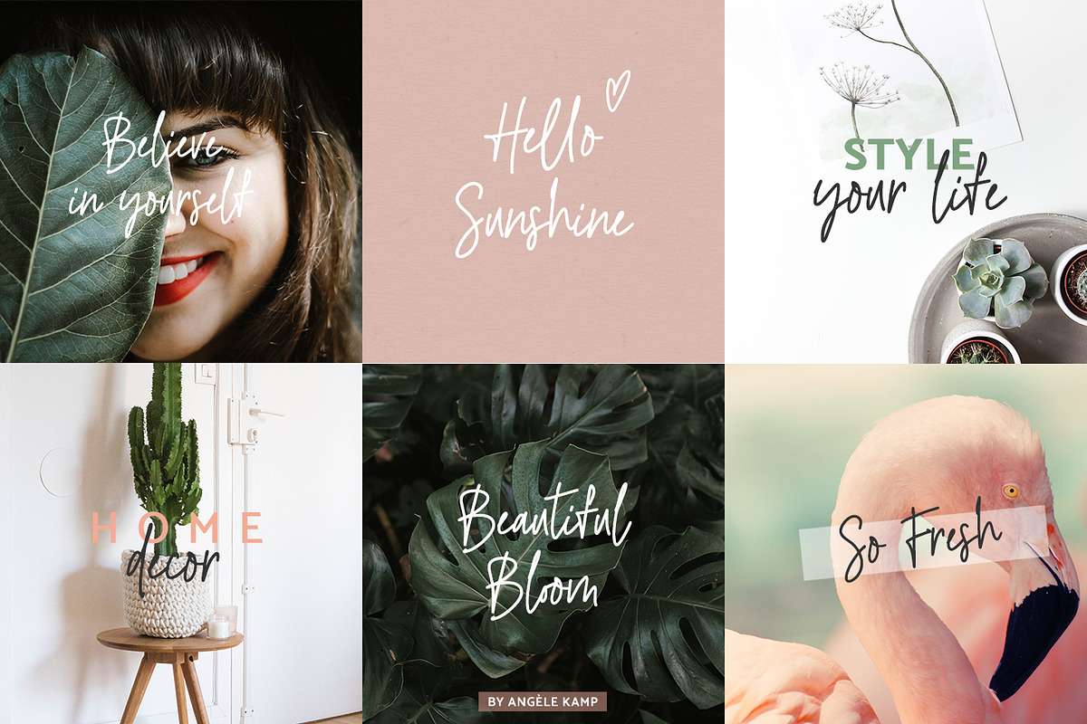 River Jade signature font & logos, a Script Font by Angele Kamp (Photo 2 of 10)
