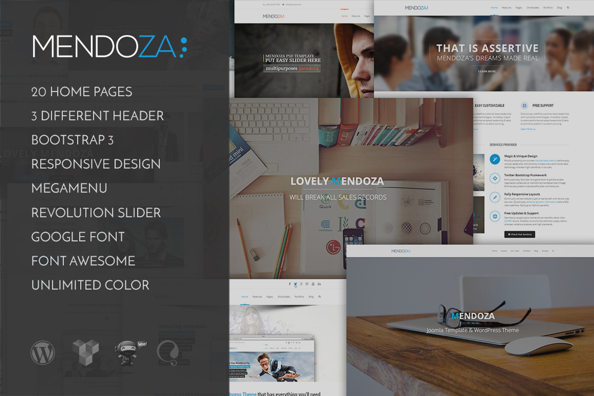 Mendoza - Business WordPress Theme, a WordPress Template by TemPlaza (Photo 1 of 5)