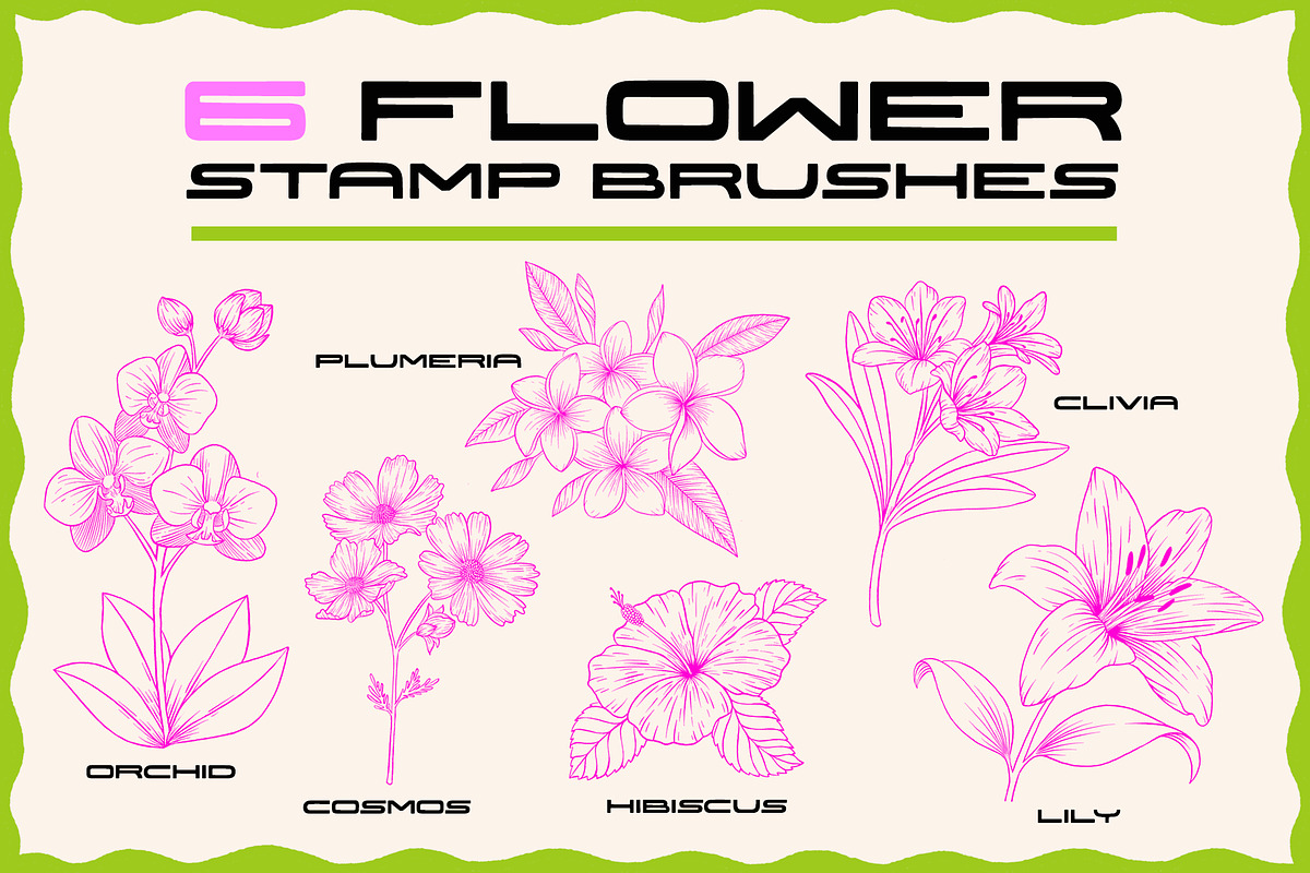Wild Procreate Brush Set, a Brush Add-On by Jaclyn Caris (Photo 4 of 17)