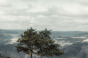 Trees on Camino viewpoint, a Nature Photo by SkyNext