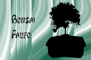 Bonsai Paufo