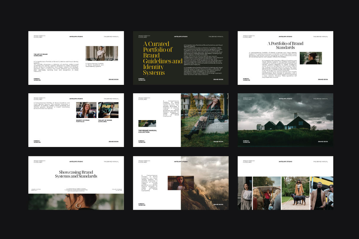 Standart - Portfolio Brand Guide PPT, a Presentation Template by Antelope Studio (Photo 6 of 8)