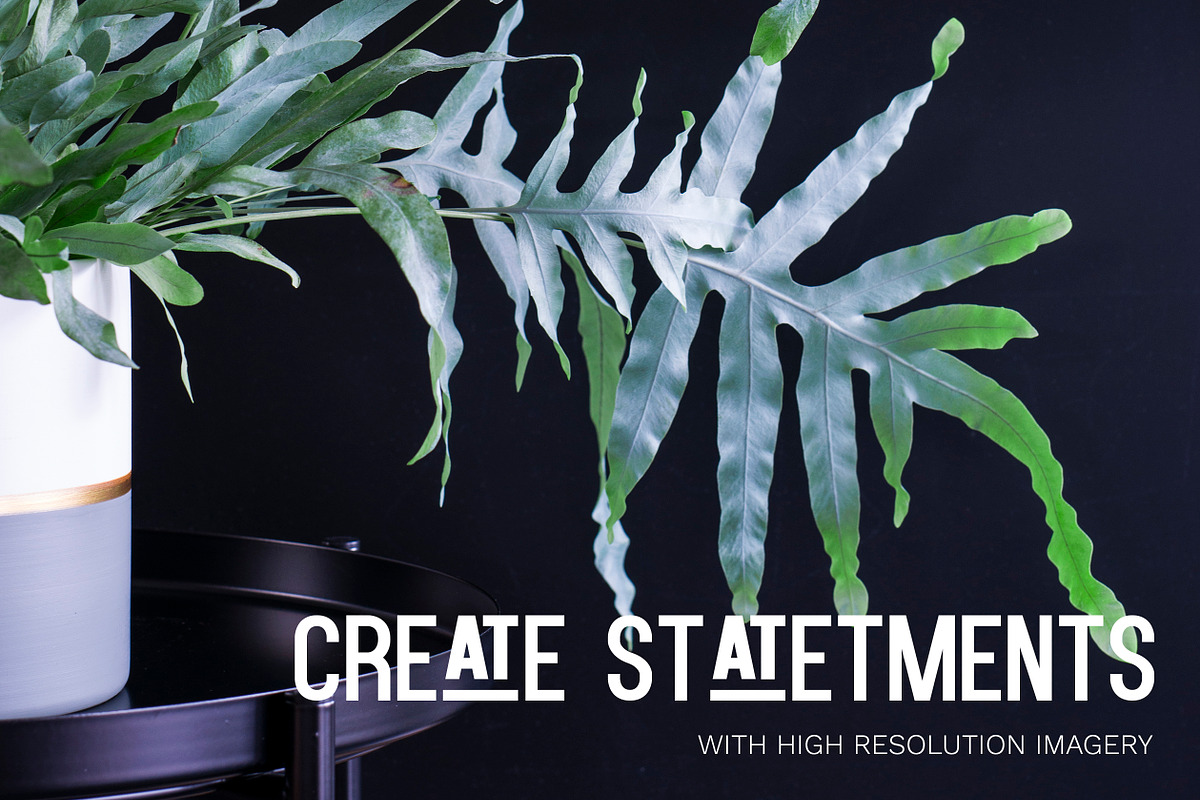 Little Jungle Image Bundle 2, an Arts & Entertainment Photo by Lum3n (Photo 2 of 3)