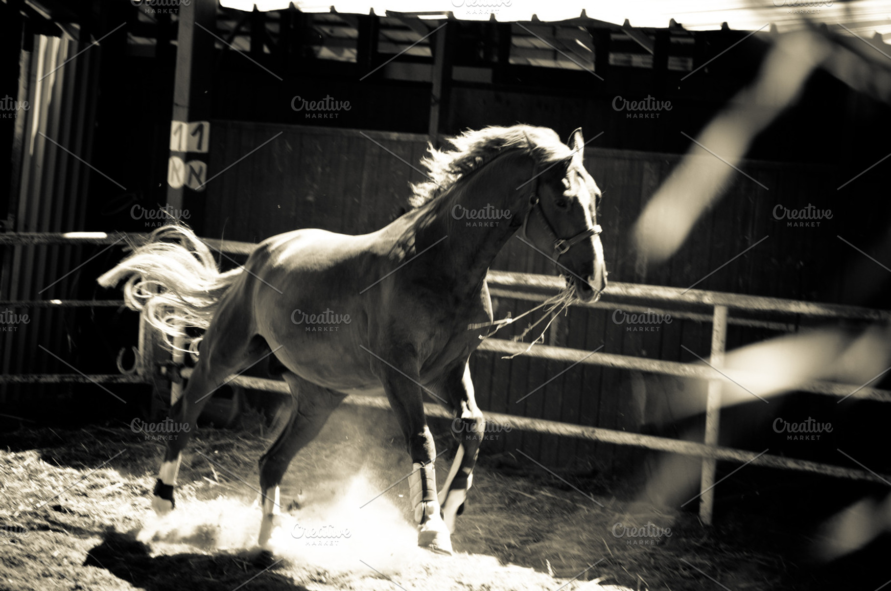 Horse and ranch no5 stock picture