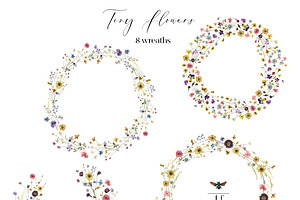 Tiny Flowers Pressed Floral Clipart