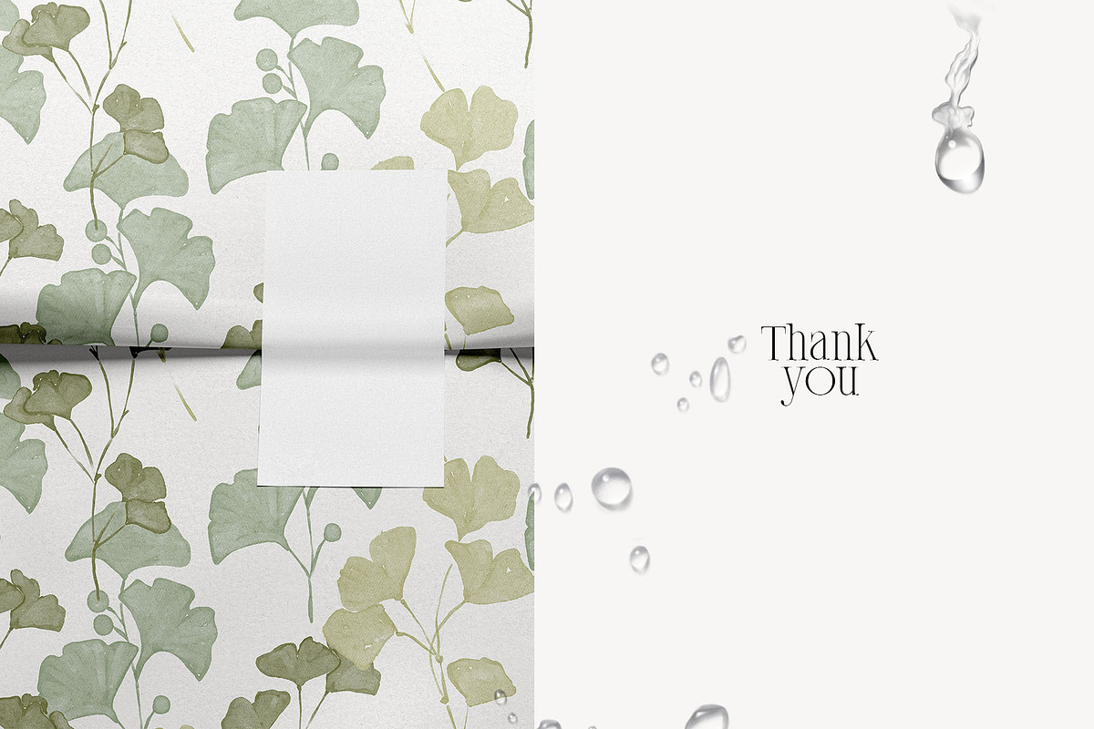 PLANTS & HERBS illustrations set, a Healthcare Illustration by Yuliia Lashevska (Photo 14 of 14)