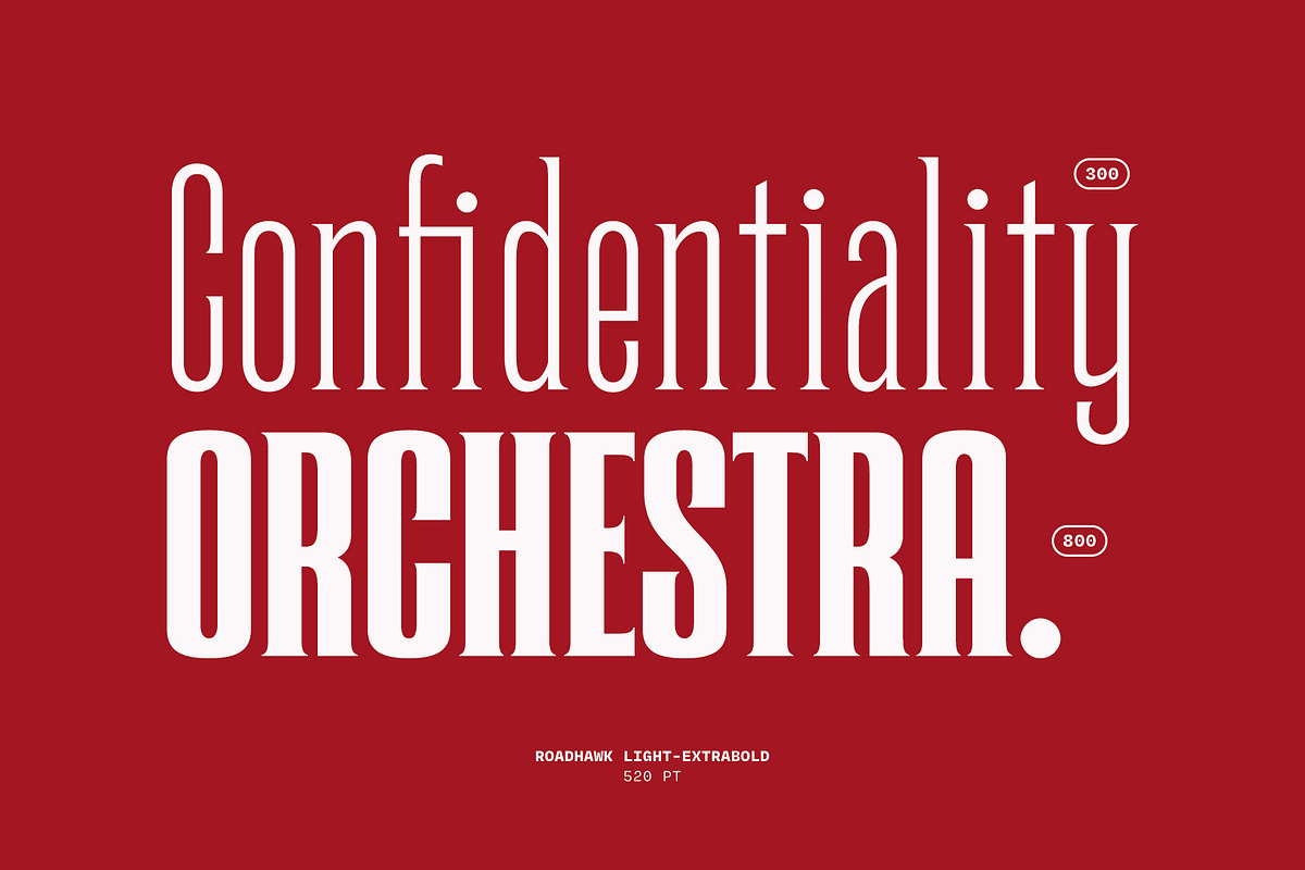 Roadhawk - Condensed Semi Serif, a Serif Font by Hindia Studio (Photo 6 of 11)