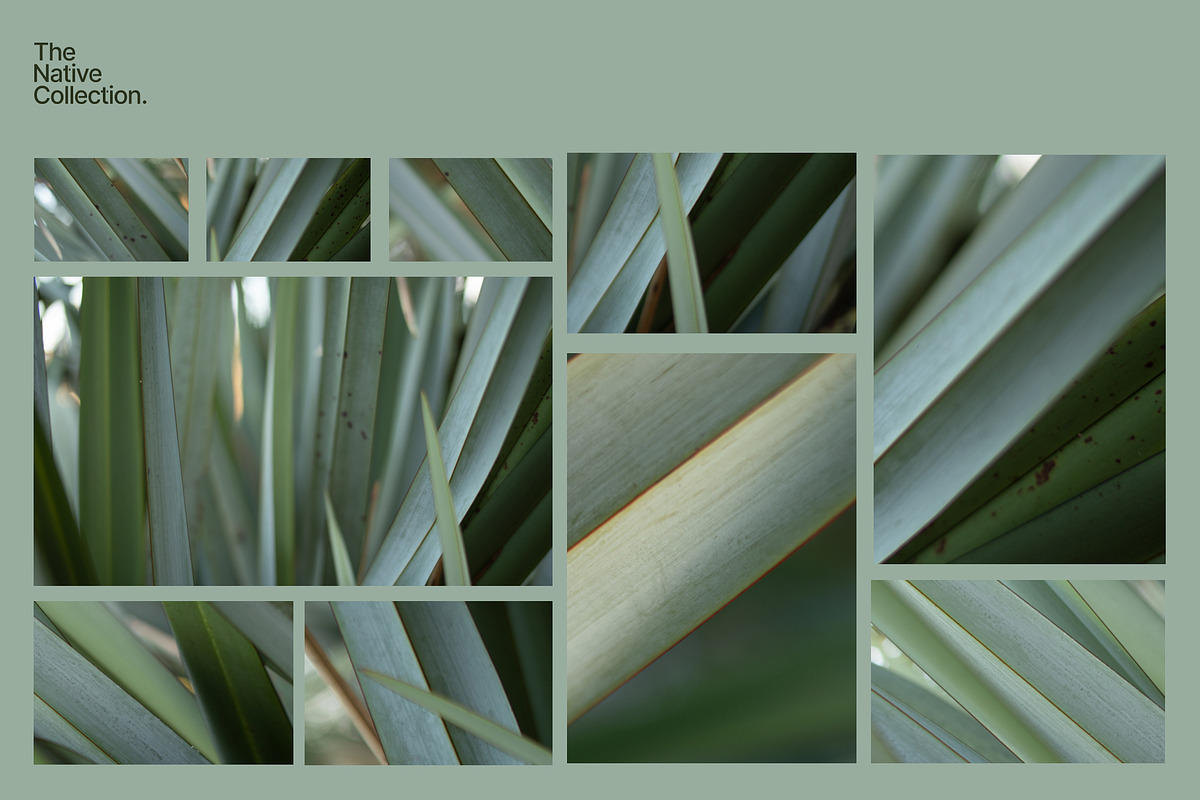 Natural textures - Green edition v03, a Texture Graphic by Haehae photography (Photo 3 of 8)