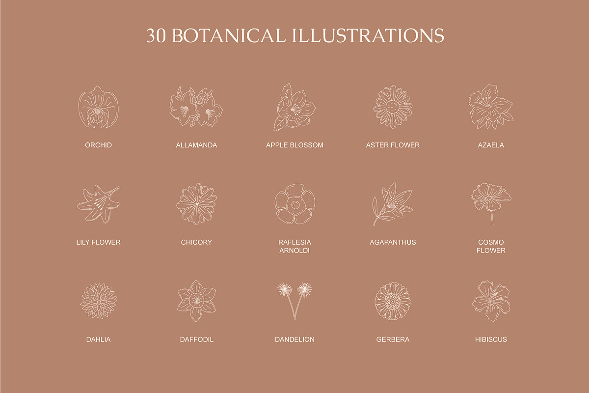 Floral Logo & Illustration, a Branding & Logo Template by Lightsense (Photo 2 of 10)