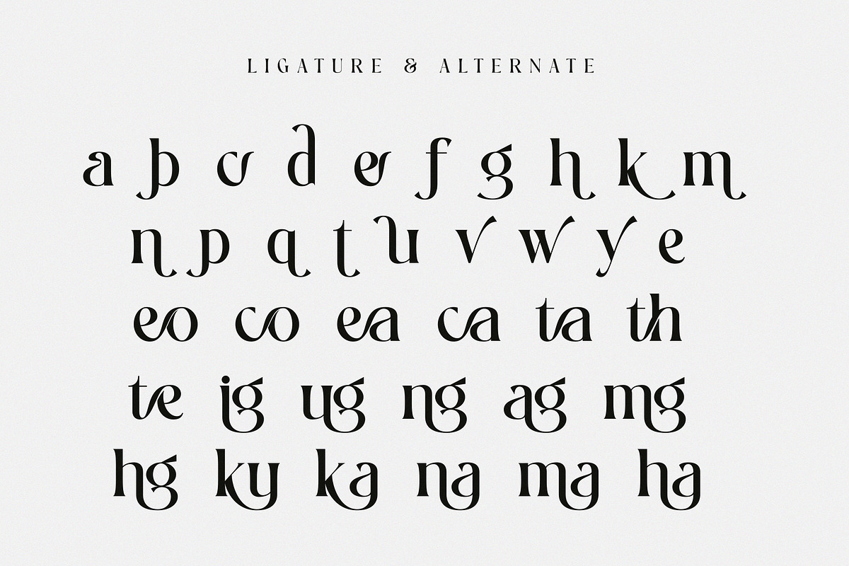 Sagita, a Serif Font by Muflieart (Photo 10 of 10)
