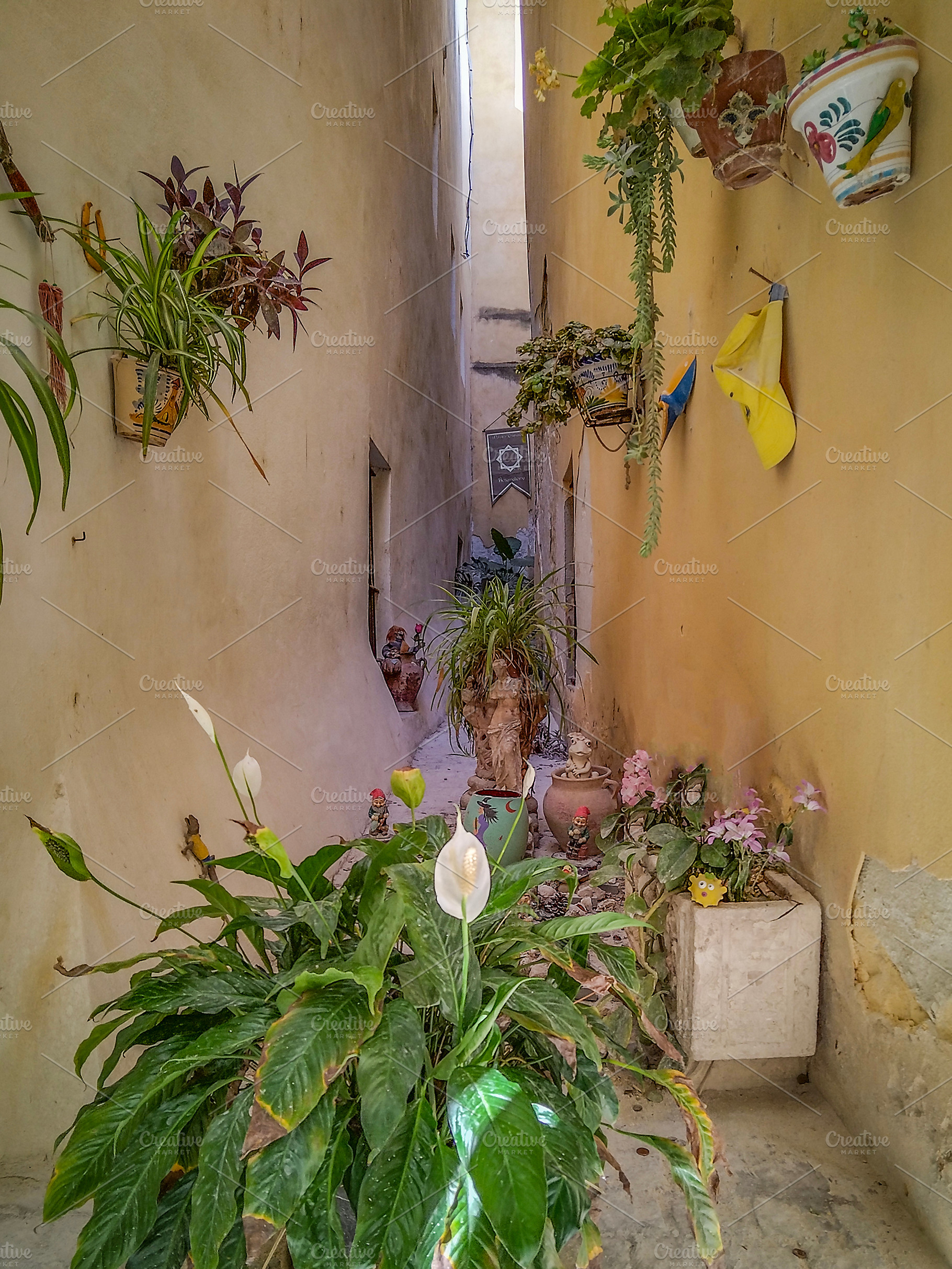 Cozy alley with plants and natural light, an Abstract Photo by DanFLCreativo