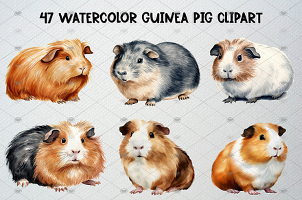 Watercolor Guinea Pig Clipart Set, an Animal Illustration by CropUp Creative