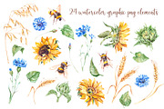Watercolor sunflowers, cornflowers, an Illustration by Alamella (Thumbnail 3 of 4)