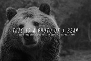 Connor / Handwritten Typeface, a Sans Serif Font by Dylan Roop Design Co. (Thumbnail 5 of 7)