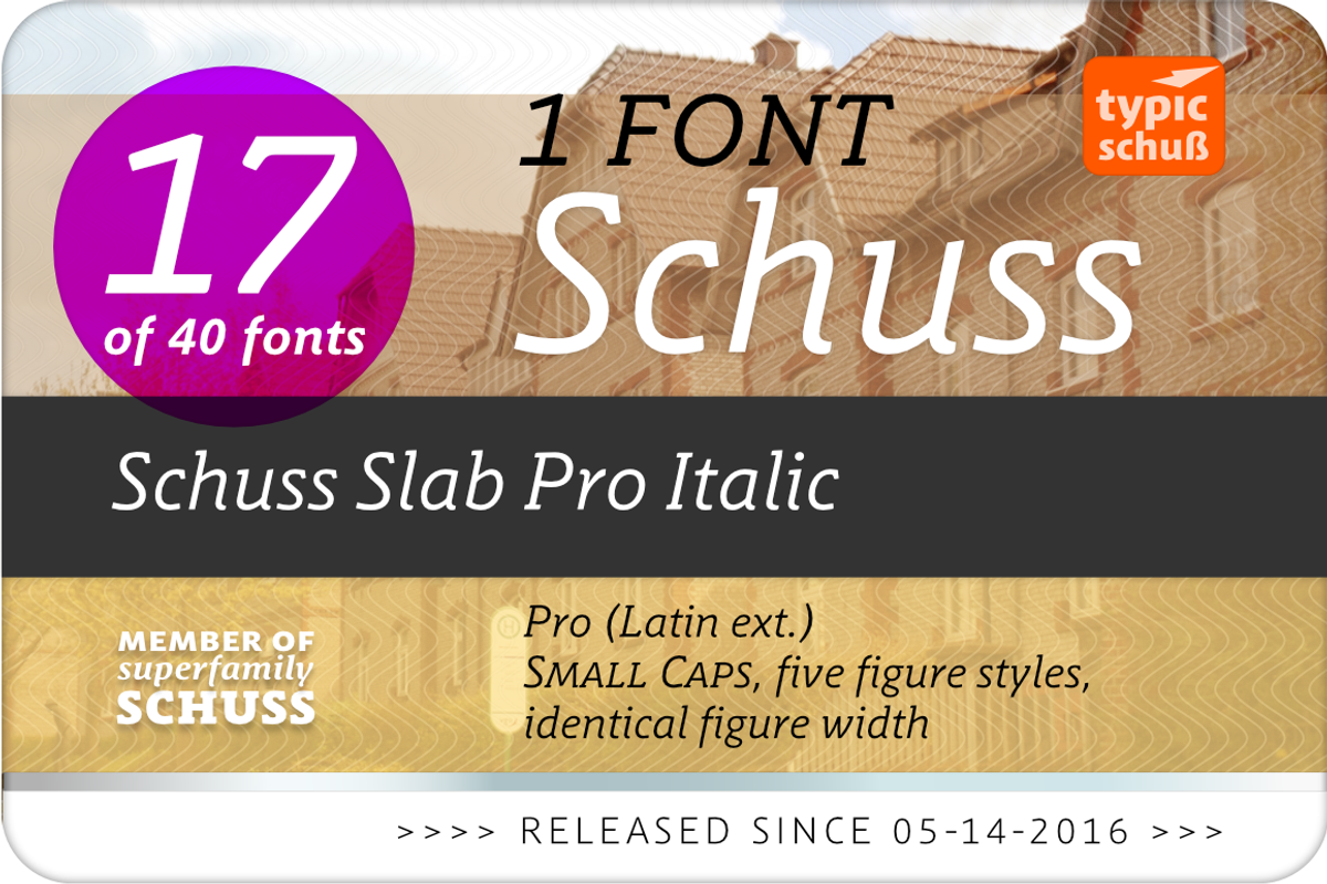 SchussSlabProItalic No.17 (1 Font) preview 2
