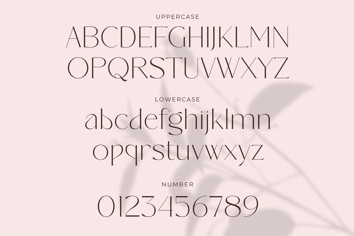 Bandana | Modern And Elegant Serif, a Serif Font by Muflieart (Photo 7 of 9)