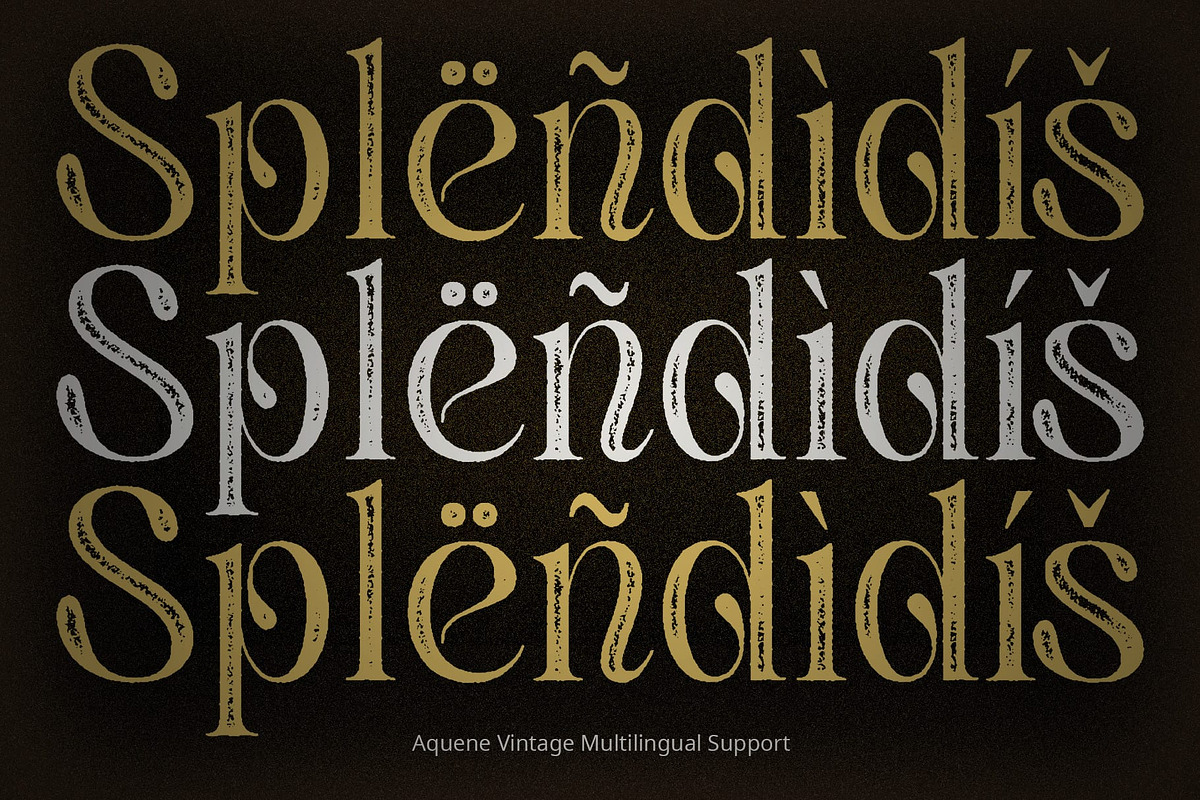 Aquene Vintage, a Serif Font by Craft Supply Co. (Photo 7 of 8)
