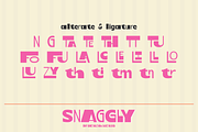 Snaggly, a Sans Serif Font by shineink.designlab (Thumbnail 10 of 10)