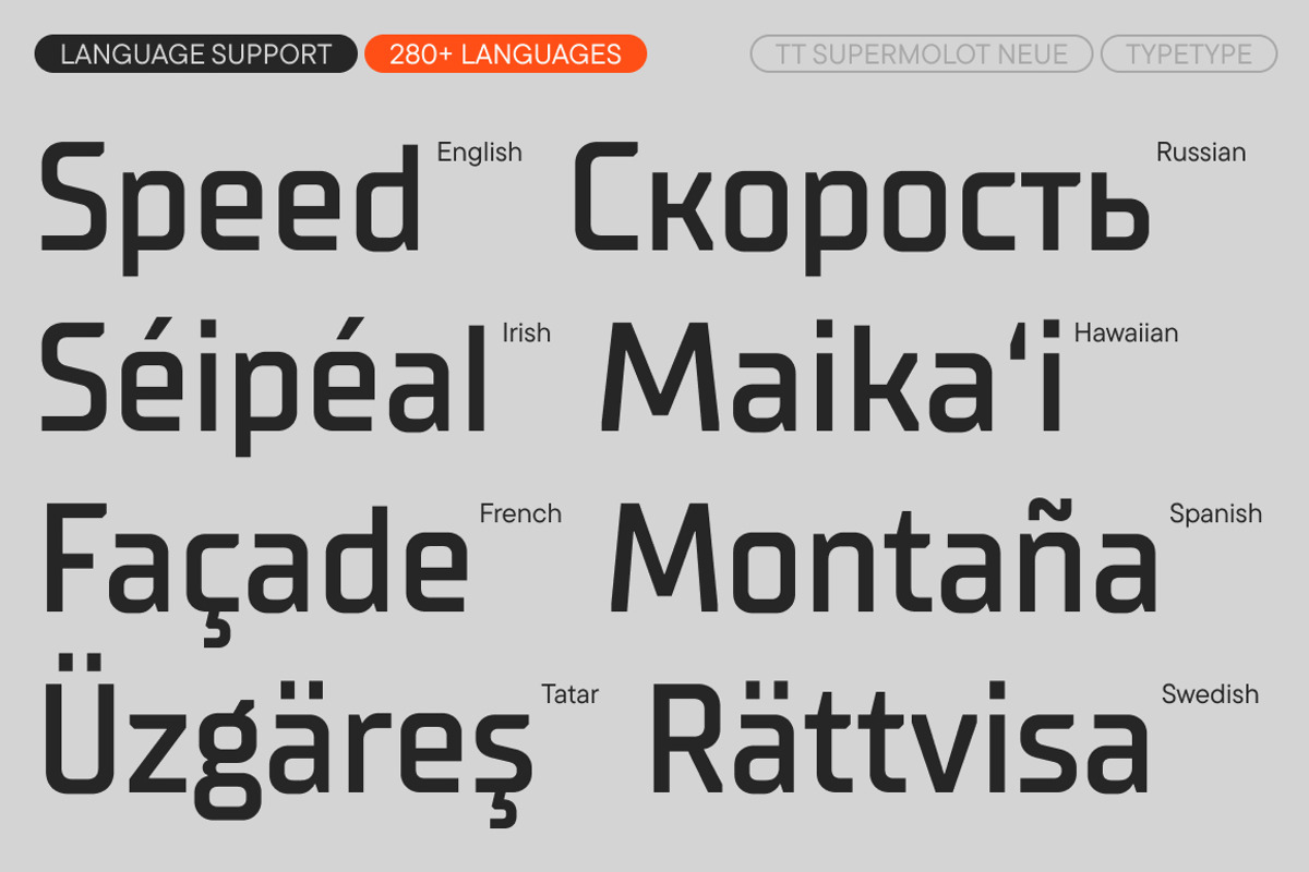 TT Supermolot Neue Basic, a Sans Serif Font by TypeType (Photo 7 of 15)