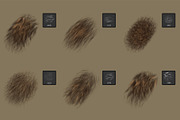 Fur Photoshop Brushes v2, a Brush Add-On by Mohamed Saber (Thumbnail 5 of 6)